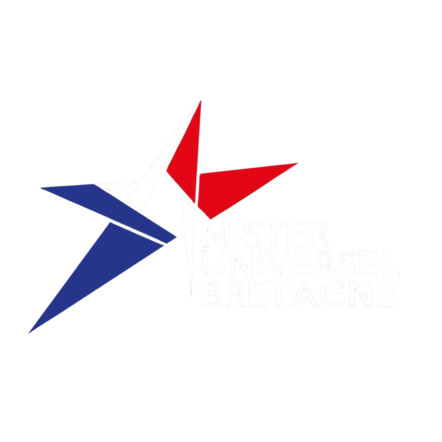 Mister Universel Bretagne
